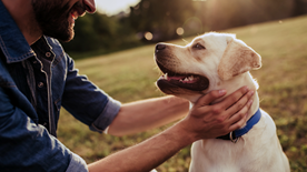 Owner out in the park with his dog